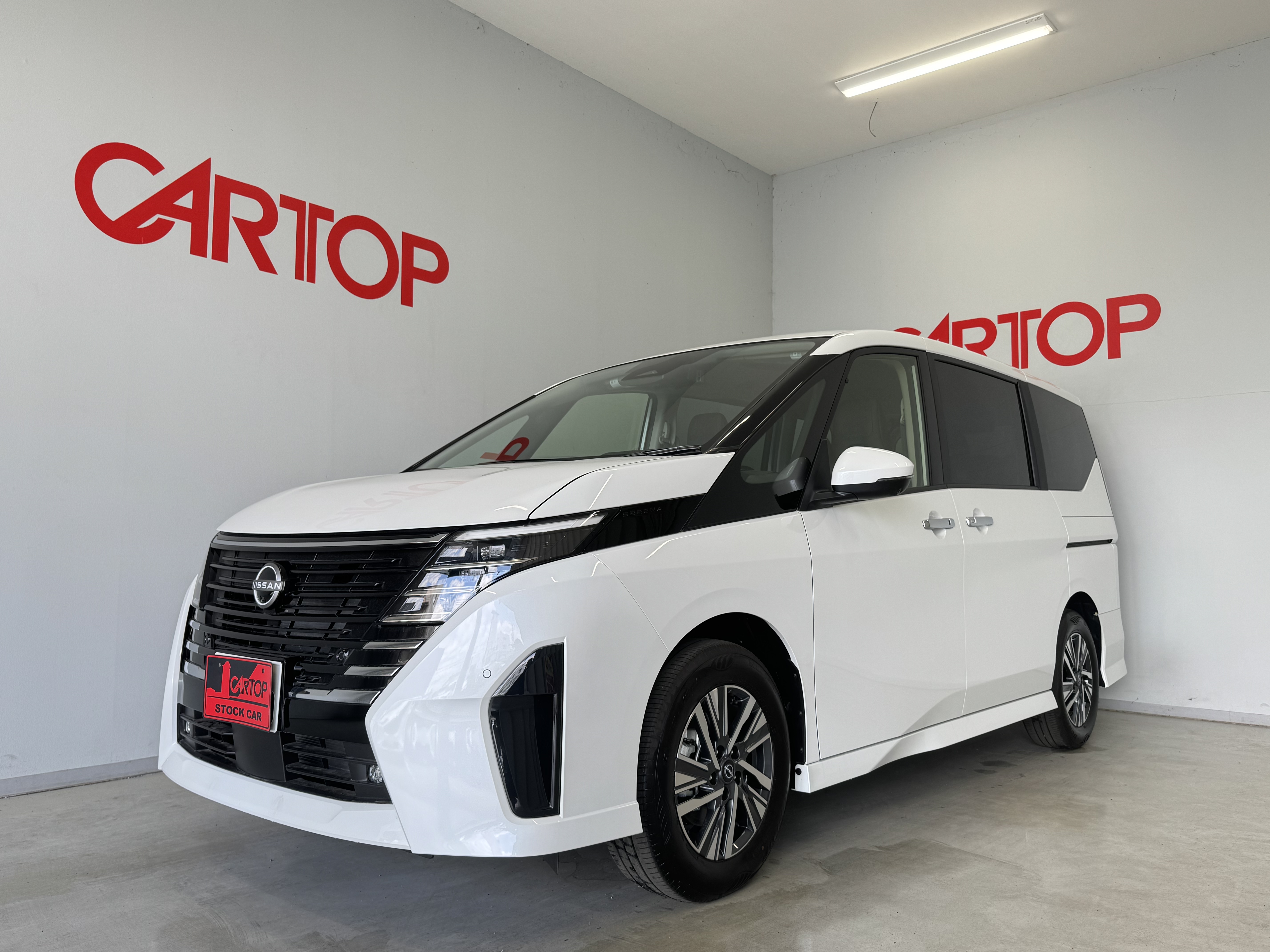 ニッサン セレナ ハイウェスターV ナビ付