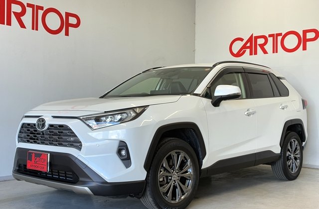 RAV4 G