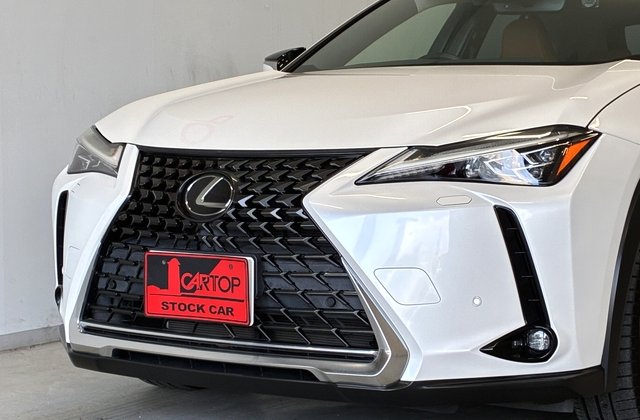 レクサスUX200 バージョンC