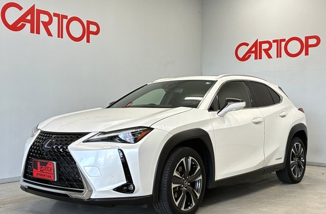 UX 250h バージョンL 4WD