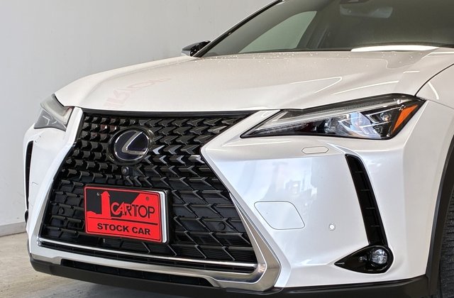 レクサスUX250h バージョンL 4WD