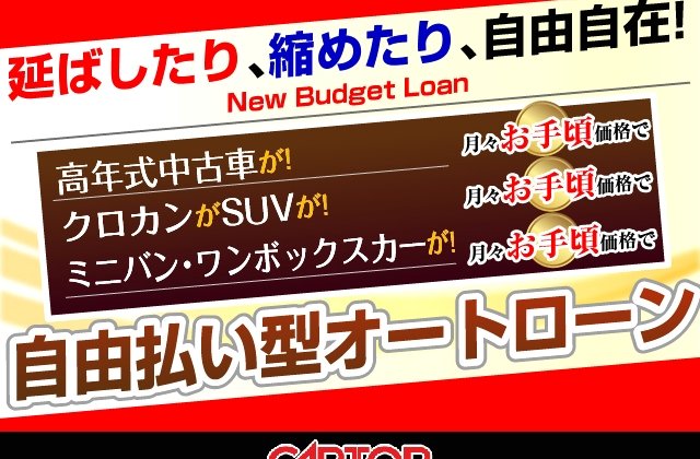 トヨタランドクルーザー250 VX