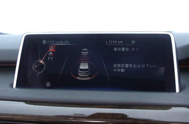 BMWX5x-Drive 35d xライン