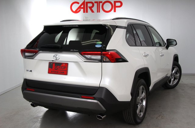 トヨタRAV4G