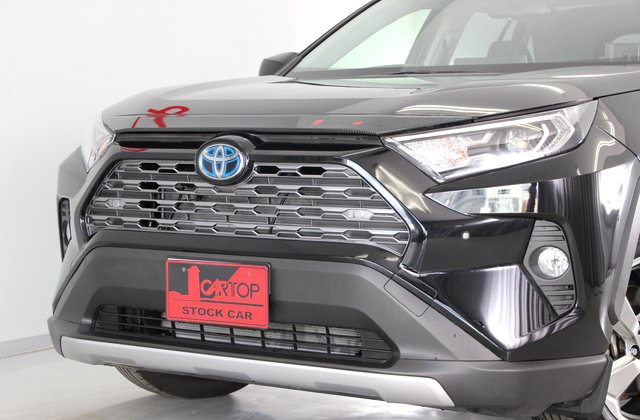 トヨタRAV4ハイブリッドG