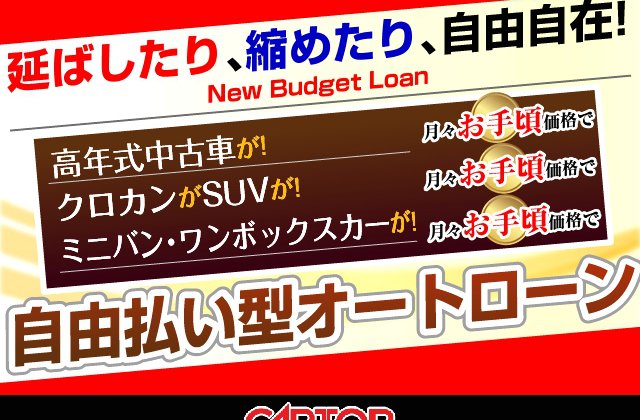 トヨタアルファードS Cパッケージ