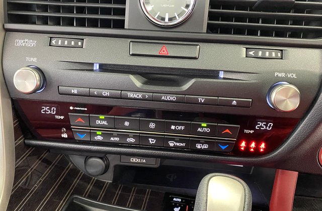 レクサスRX300 Fスポーツ