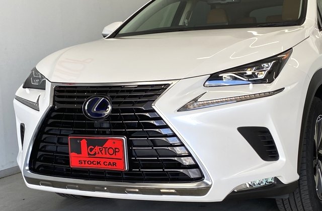 レクサスNX300h Iパッケージ