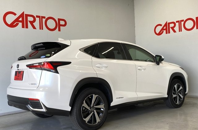 レクサスNX300h Iパッケージ